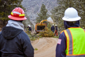 Wood Chipping for fire mitigation Colorado Envision